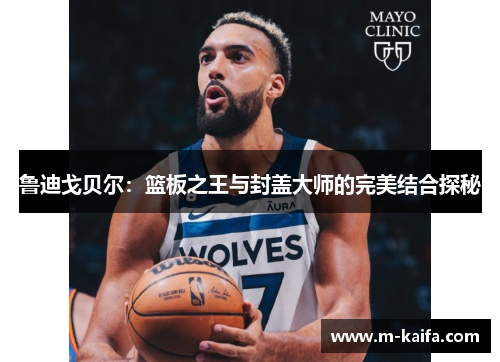 鲁迪戈贝尔：篮板之王与封盖大师的完美结合探秘