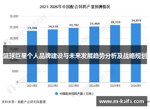 篮球巨星个人品牌建设与未来发展趋势分析及战略规划