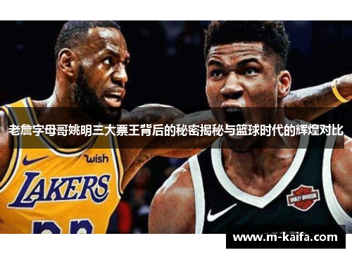 老詹字母哥姚明三大票王背后的秘密揭秘与篮球时代的辉煌对比