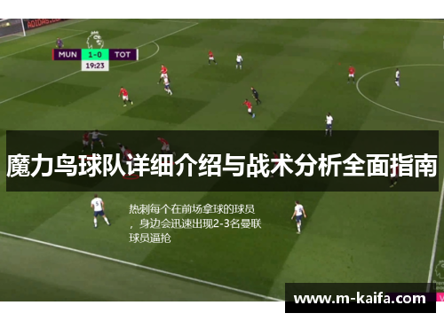 魔力鸟球队详细介绍与战术分析全面指南