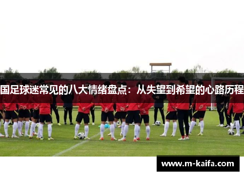 国足球迷常见的八大情绪盘点：从失望到希望的心路历程